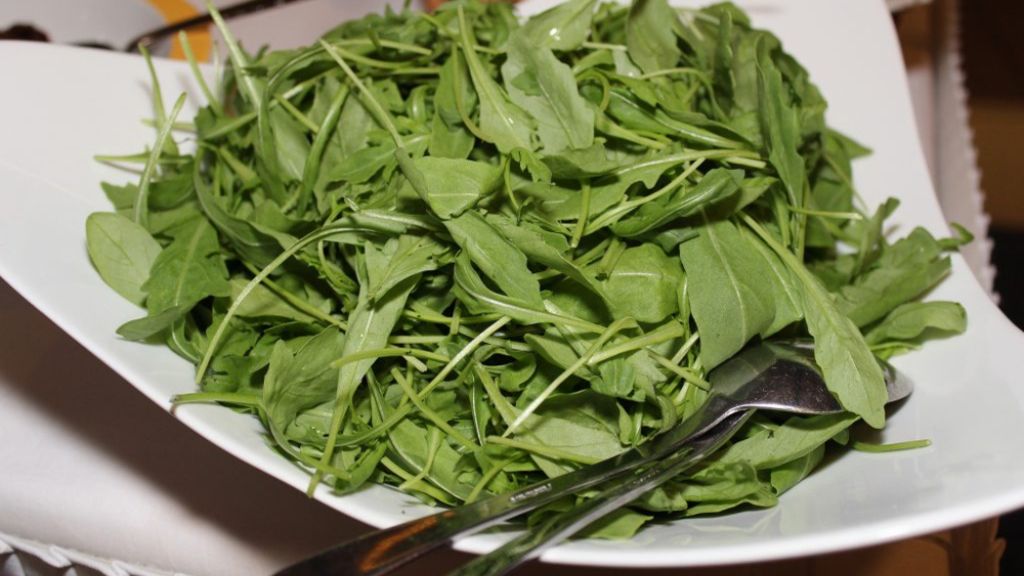 10 Powerful Benefits of Rocked Seeds in Our Daily Life