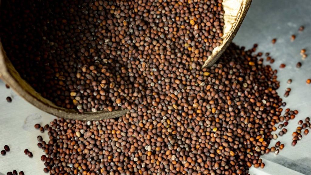 10 Powerful Benefits of Rocked Seeds in Our Daily Life